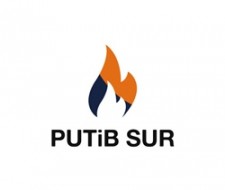 logo PUTiB SUR - web.jpg